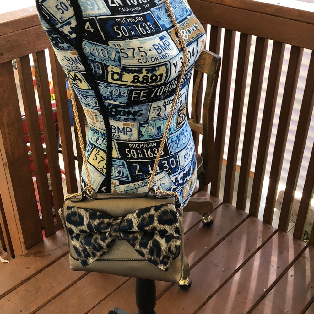 Charming Charlie Bag